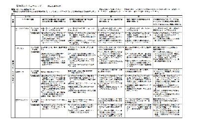 看護師のクリニカルラダー（日本看護協会版）